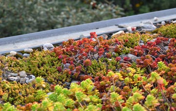 the cost of Linksness green roof installation