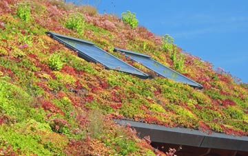 Linksness living roof systems