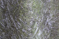 Linksness fibreglass roof work